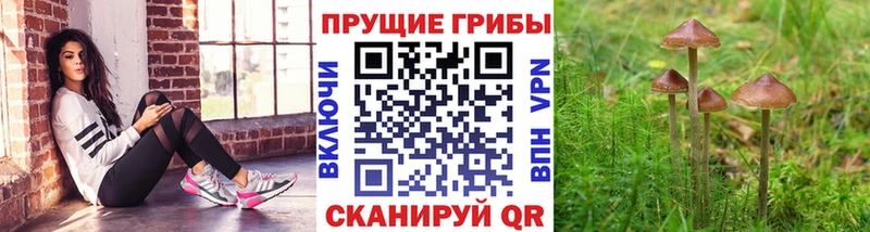 купить наркотики сайты  Долгопрудный  МЕГА зеркало  Галлюциногенные грибы мухоморы 