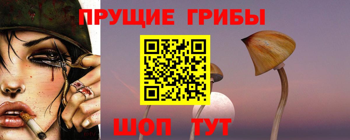 Галлюциногенные грибы мицелий Долгопрудный